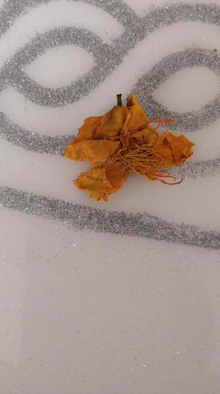 江苏金莲花,十大金莲花