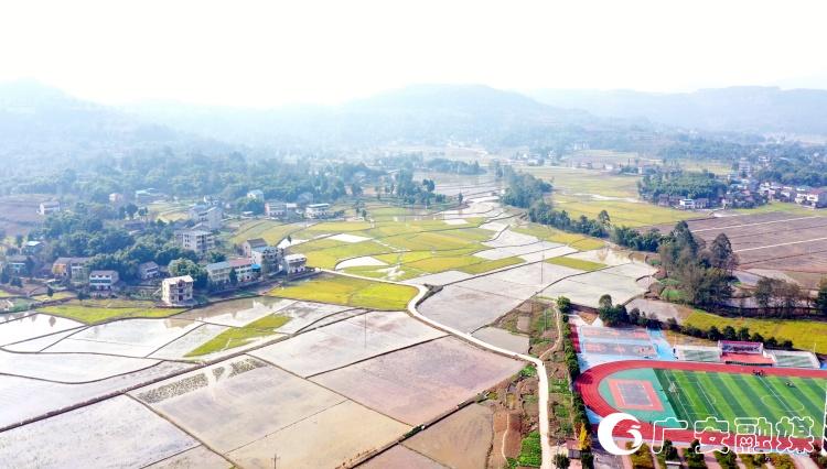 乡村振兴中心镇建设,花桥乡村振兴