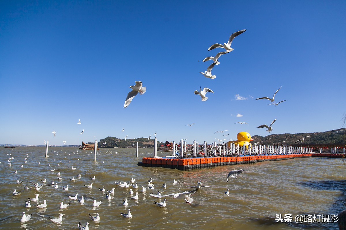 中国最适合养老的“特大城市”,气候宜人环境美,一年四季都宜居