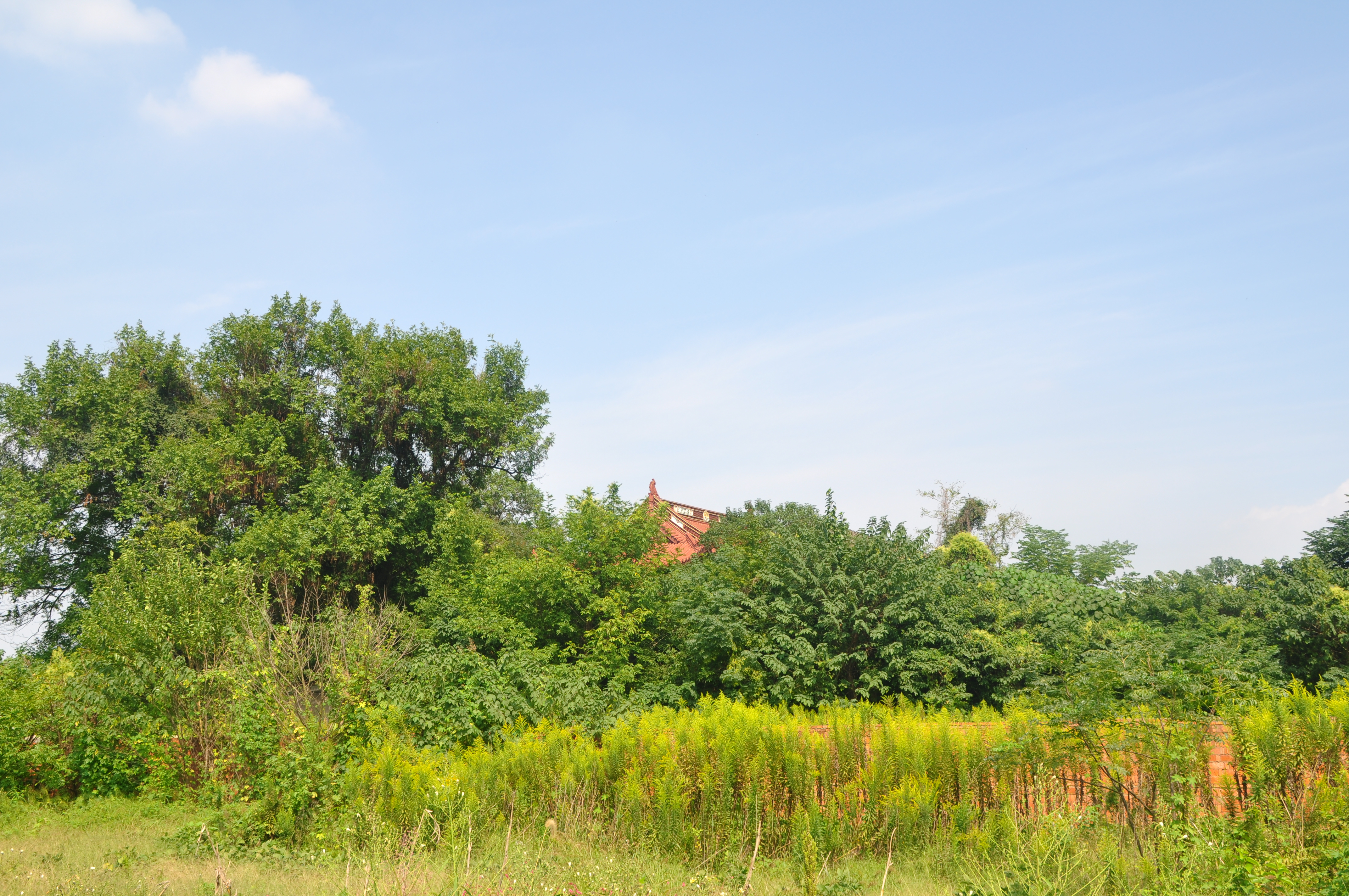 常州胥城遗址,常州遗址景点