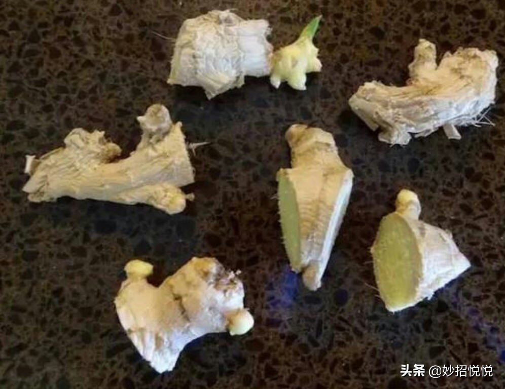 家庭生姜怎样种植最好吃,生活小妙招生姜怎么种植