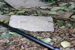 纳丽德nex,纳丽德nex机械棍