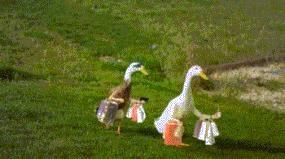 图大明白|404错误为什么是NotFound？为什么是404？