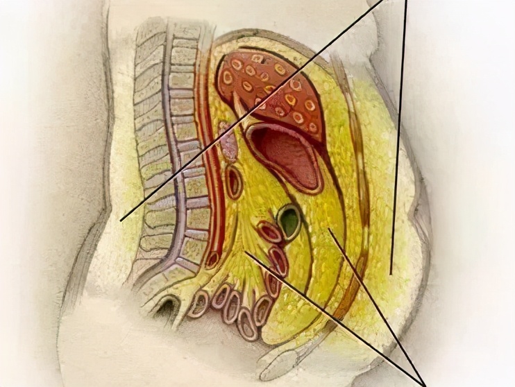 杨超越每天吃什么,杨超越吃什么变瘦