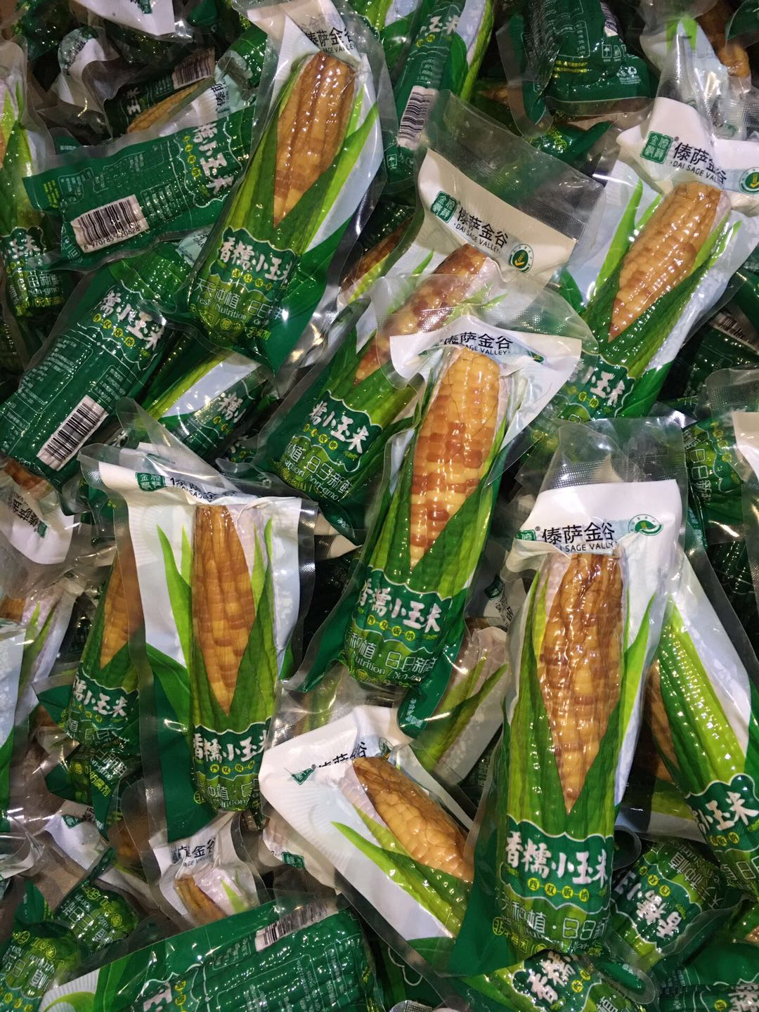 西双版纳香糯小玉米非转基因,云南西双版纳香糯小玉米