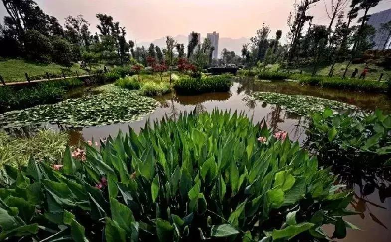 这一生必须去一次的地方,这一生要去一次丽江