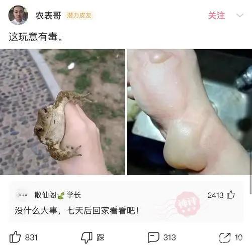 神回复是什么样的让你不敢想象,神回复每句话都在意料之外