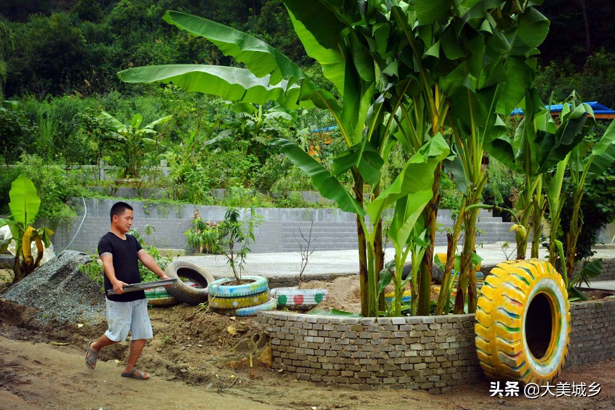 农民养两千余只土鸡变飞鸡,中国深山养殖5亿只鸡视频