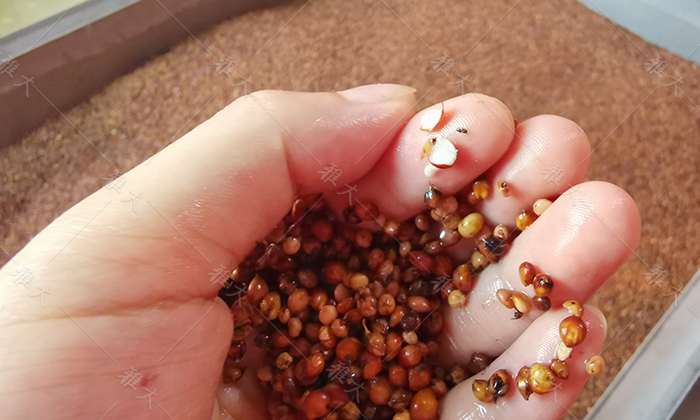 蒸酒不出酒是什么原因,煮酒发酵好怎么没有酒是怎么回事