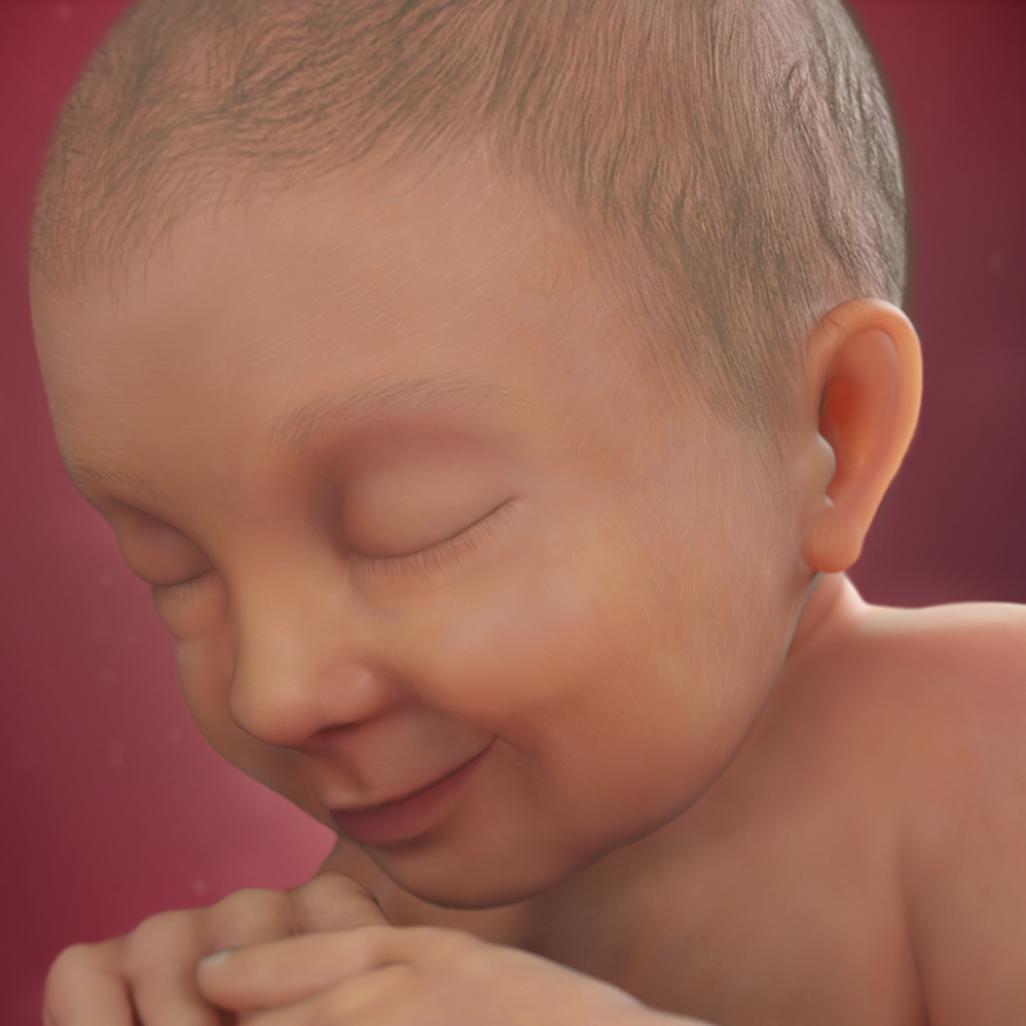 怀孕40周，胎宝宝每周长啥样？