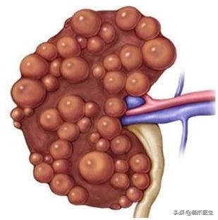 我就是馋猫的身子，没别的！