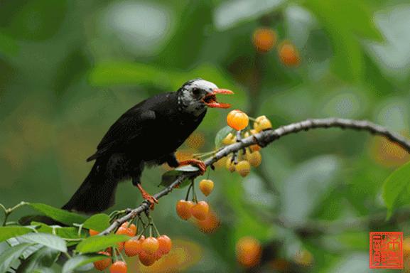 100张会动照片,30张罕见且迷人的图片
