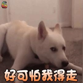 关于服装业发展现状及趋势的看法,服装市场生意惨淡的原因