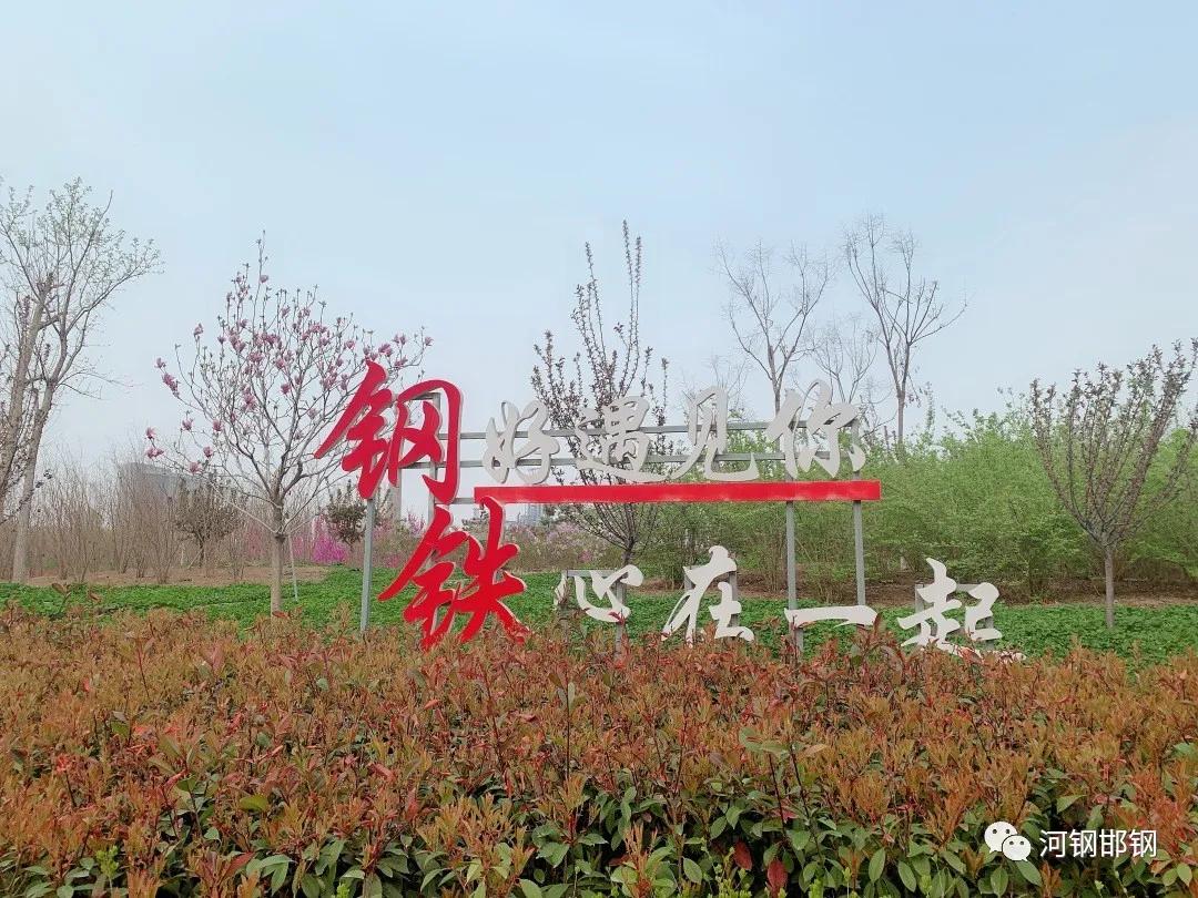 娌抽挗閭挗閾佽矾,娌抽挗閭挗楂樼倝