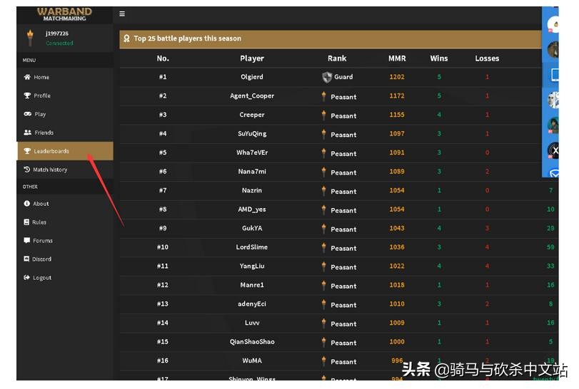 骑马与砍杀战团网吧怎么联机,骑马与砍杀战团选什么开局
