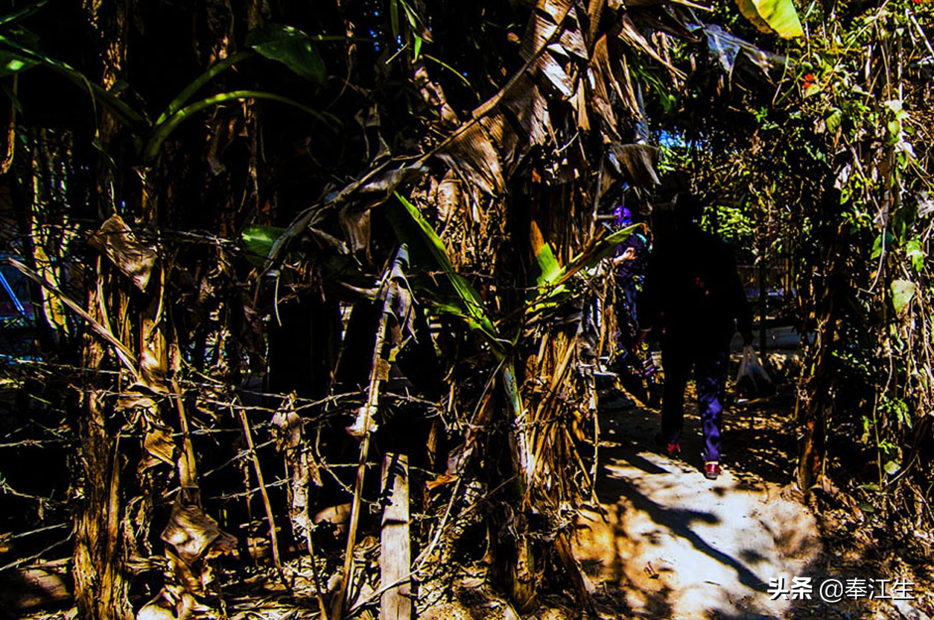 绿色通道出国游,出国旅游和偷渡的区别