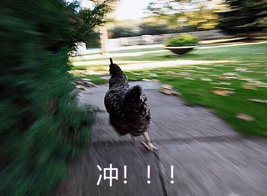 上班族午饭微波炉加热,微波炉解决一日三餐