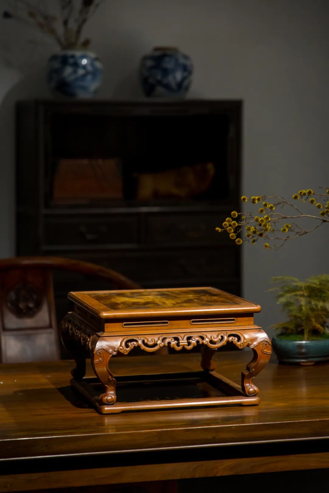 什么是长物志,何为长寿命