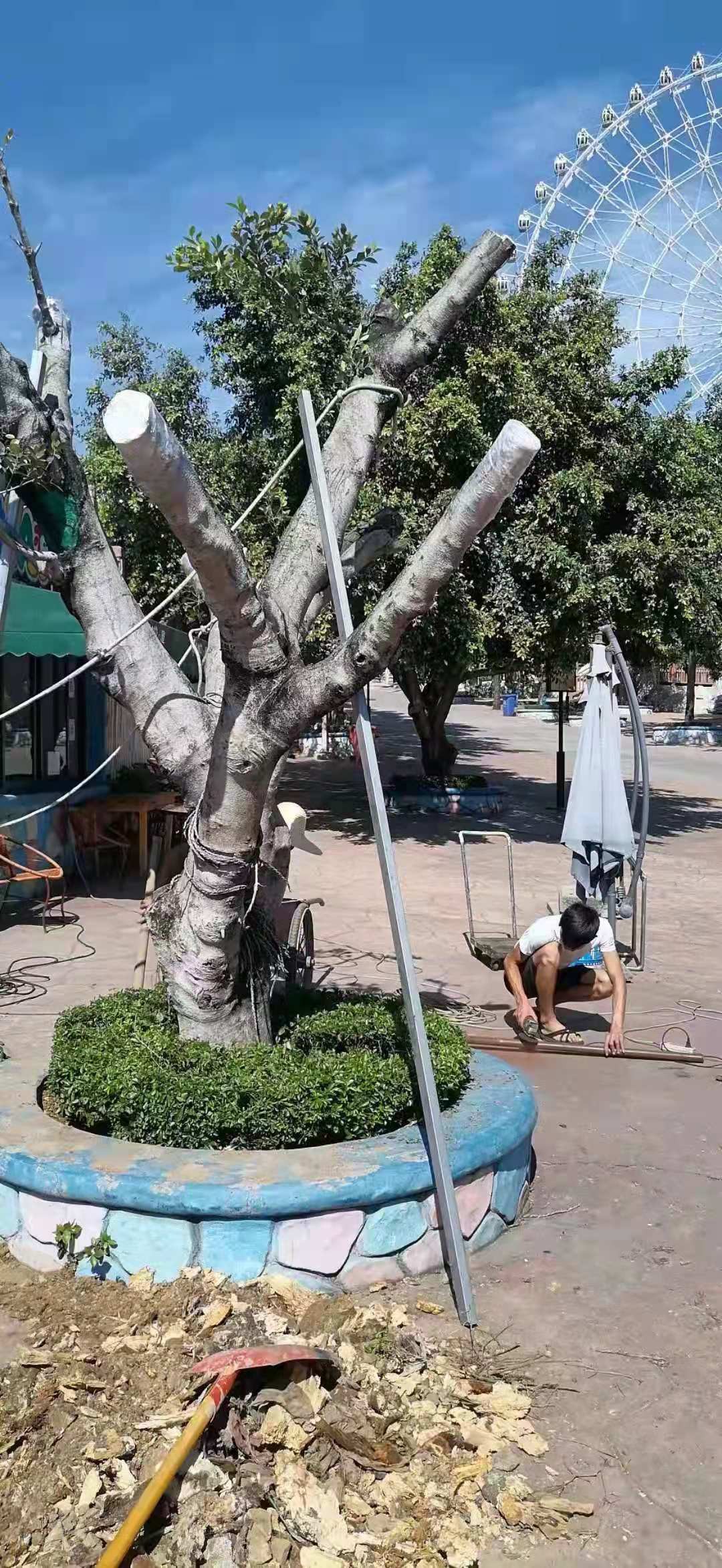 鑫岛乐园欢乐世界,鑫岛欢乐世界视频