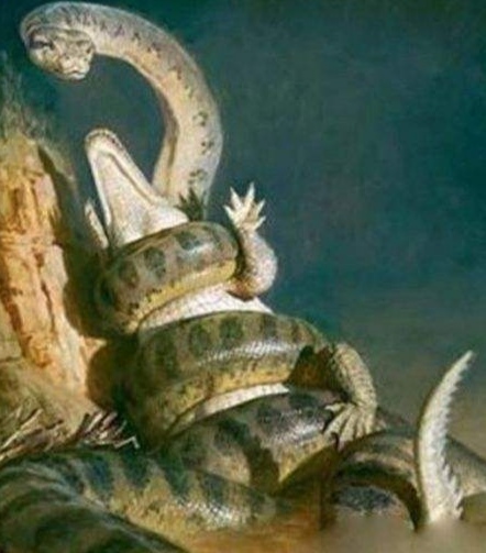 亚马逊丛林有什么危险的东西,亚马逊丛林究竟多可怕