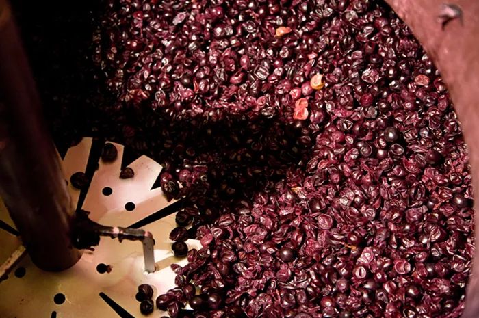 自己酿造葡萄酒的做法,探秘德国葡萄酒庄