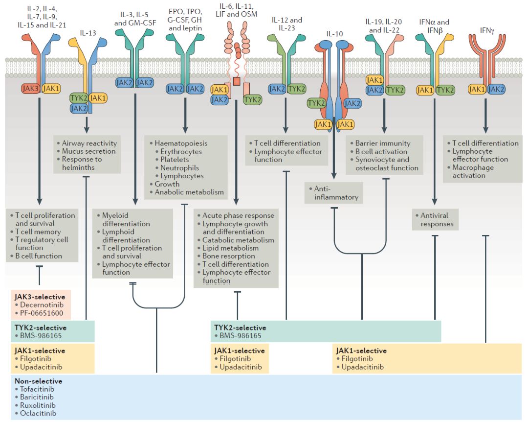 全球十大最神奇的疗法,创新细胞疗法