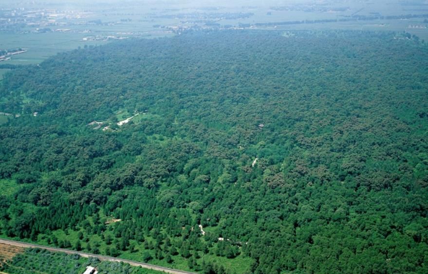 曲阜孔子之墓,曲阜孔子墓之谜