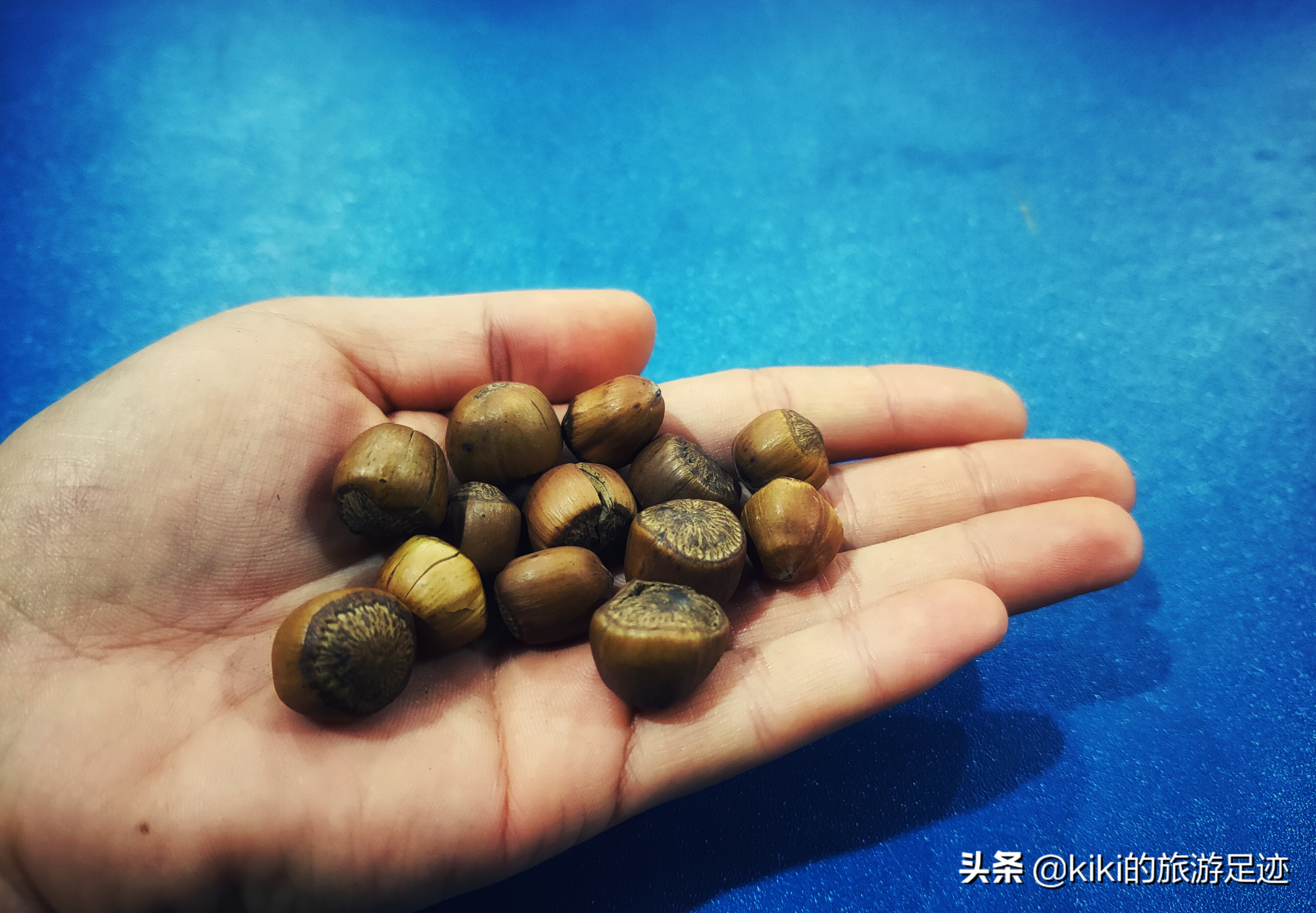 旅行十天怎么简化行李托运,出门旅行6天用什么装行李好