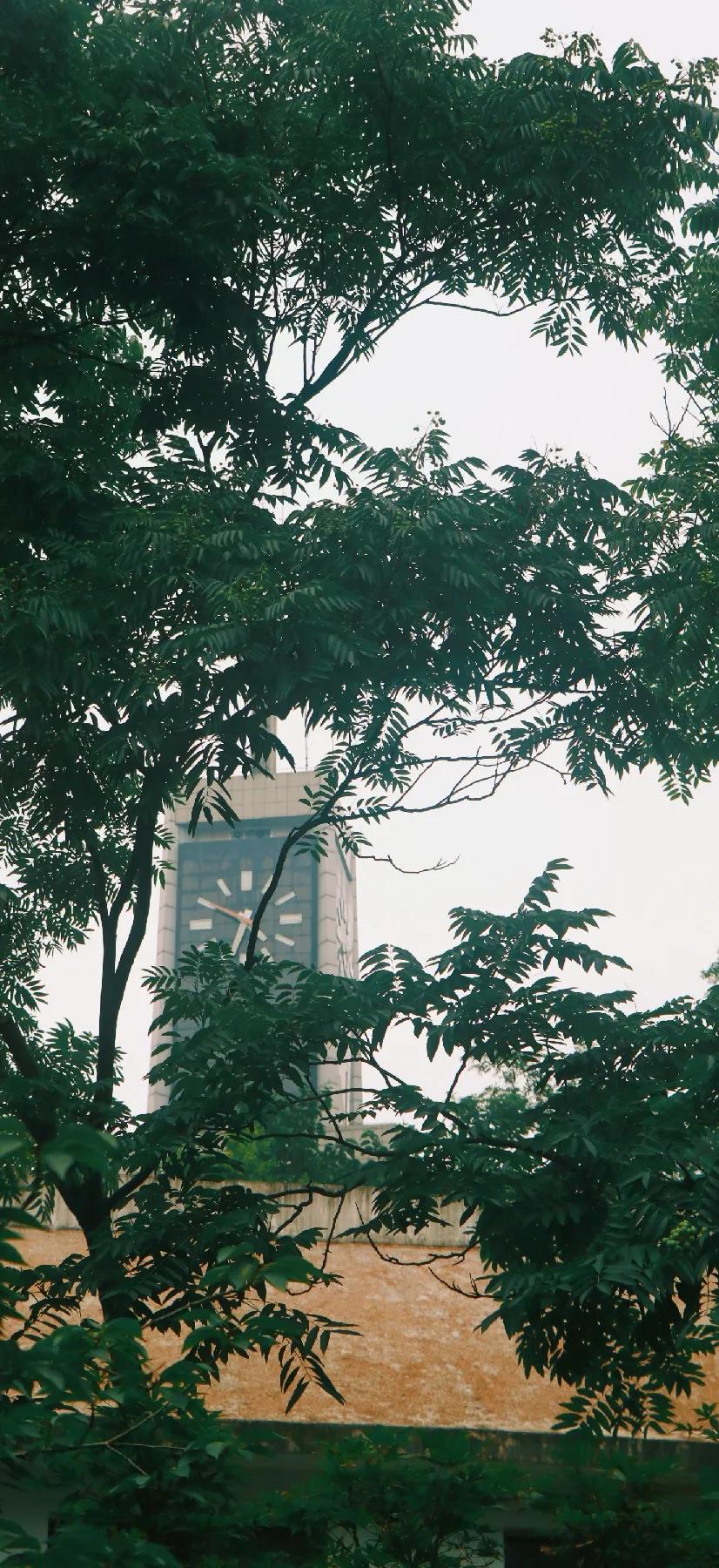 观银河,看银河听风吟的视频