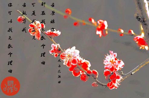 手机修图怎么修成油画感,艺术照片后期修图教程