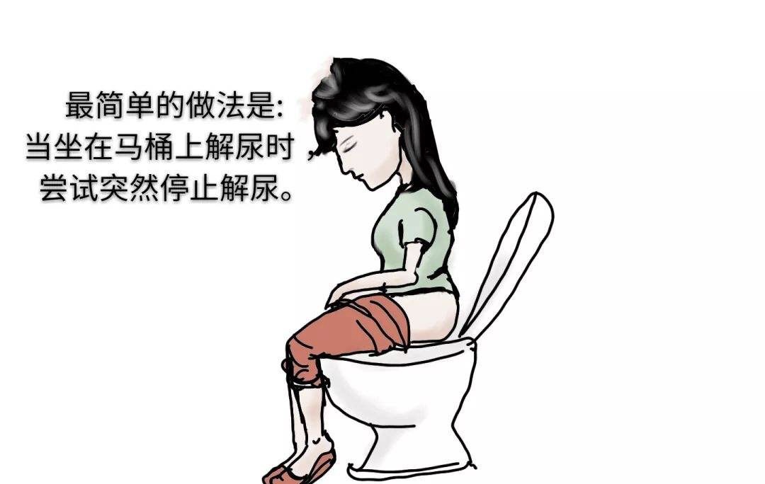 孕期尴尬：孕期打喷嚏漏尿怎么办？盆底肌了解下