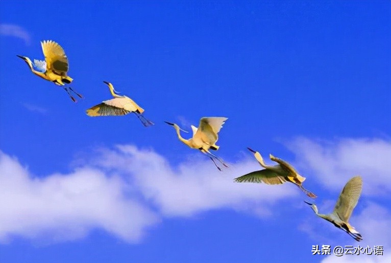 堪称经典的十首古诗词,值得收藏的三大经典古诗词