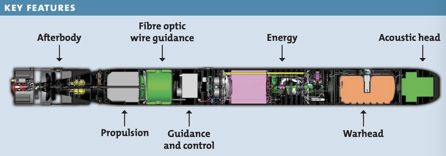 意大利，不止会踢球——白头阿莱尼亚鱼雷传