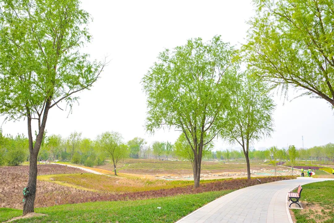 北京新开40个公园在哪里,北京十佳公园