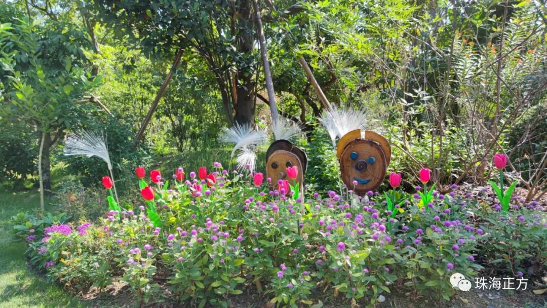 珠海买房过冬真实感受,在珠海买房十大秘诀