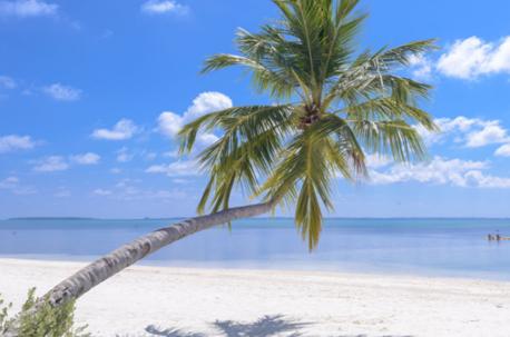 虚荣心过度是什么原因,虚荣心导致的后果