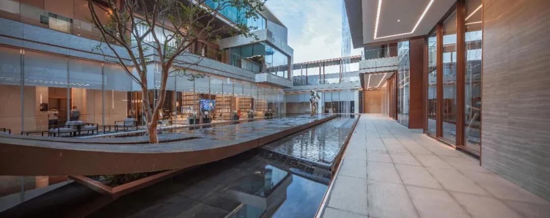 阳光城最近有什么变化,阳光城今天有什么好消息