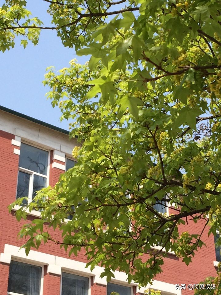 大连市第二十四中学内设机构,大连市第二十四中学金普校区