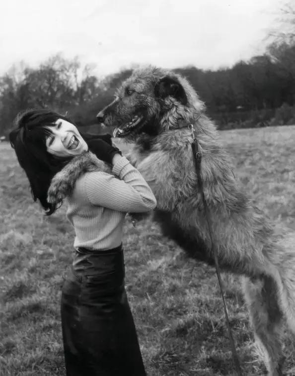 好莱坞华人教母,好莱坞教母