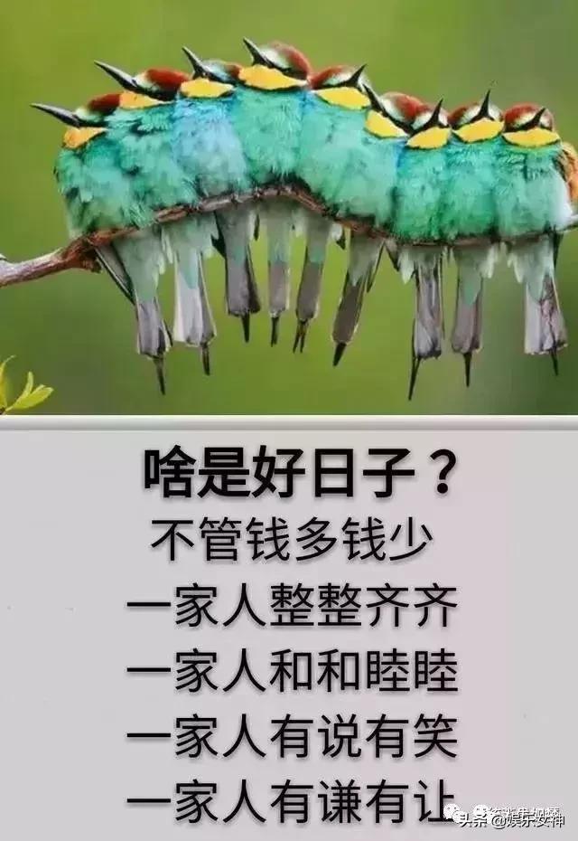 我的家庭相册文章,我的家庭相册细节