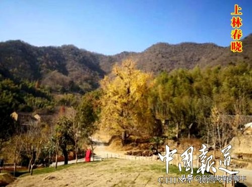 吴亚卿洞桥十八景（十八首诗）欣赏