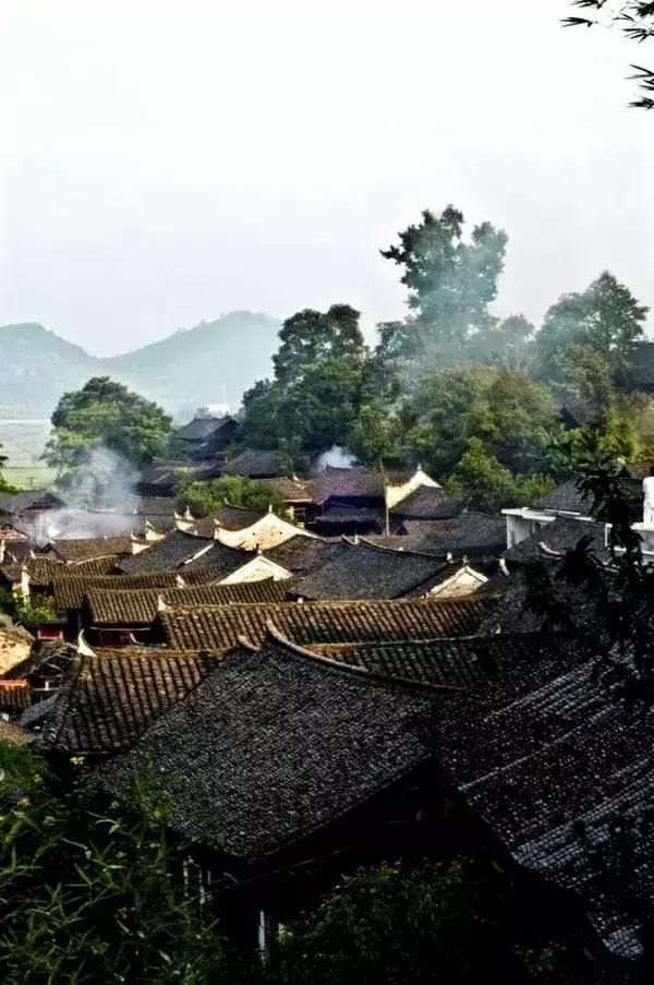 川西彩林自驾风景,川西三大草原绝美自驾游