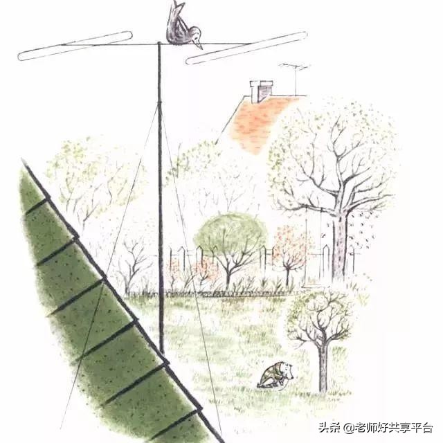 老师好睡前故事|《哈利的花毛衣》