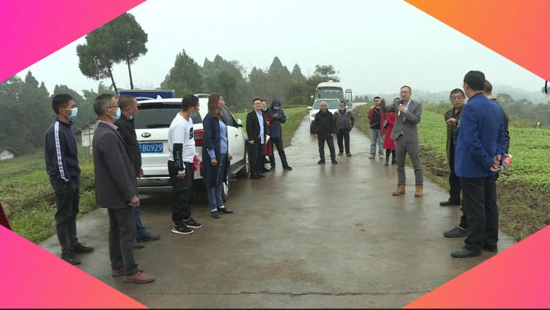 南充嘉陵区龙蟠,四川省南充市高坪区龙蟠镇