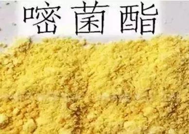 有机硅与橙皮精油,有机硅助剂和橙皮精油