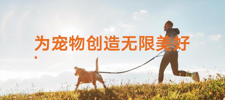 重庆易宠科技有限公司怎样,行业的天花板怎么突破