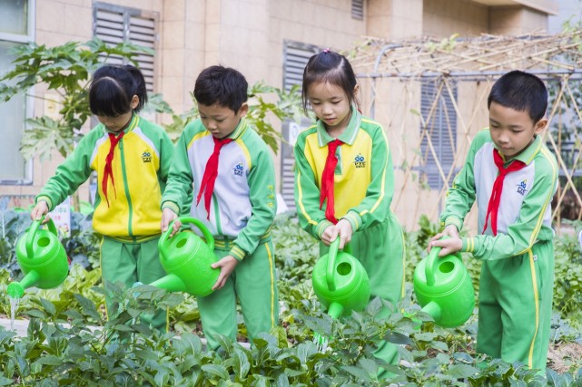 广州市番禺区天成小学,天成小学新校区规划