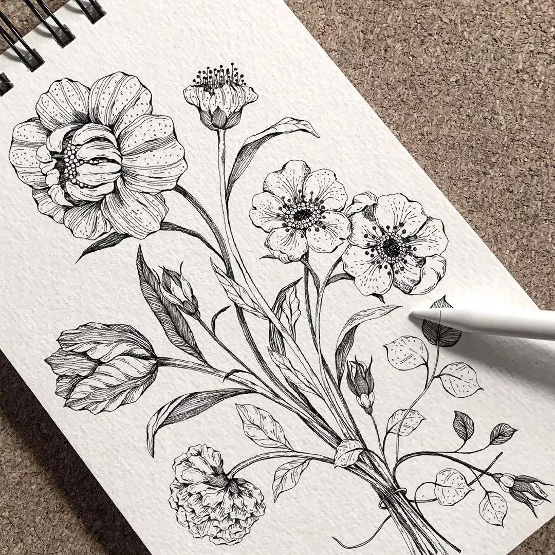 一看就懂的针管简笔画,针管笔入门手绘1000例临摹图