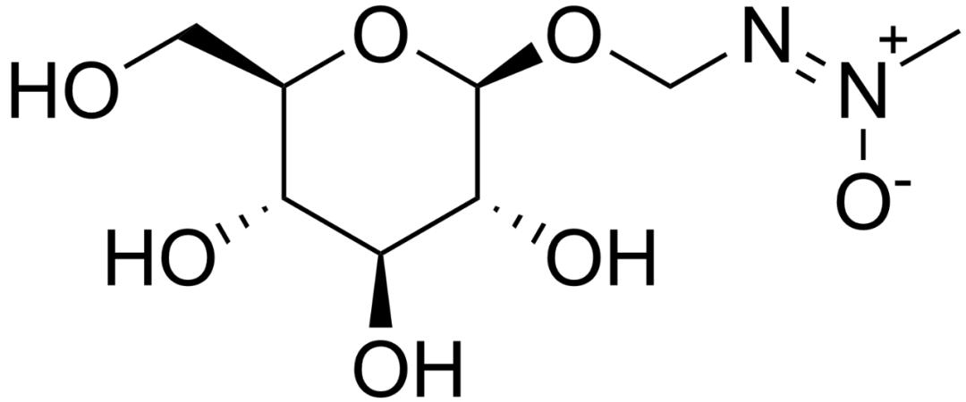 伍德苏铁:寻妻百年的铁树鳏夫,全球仅一棵,克隆的树苗价值15万