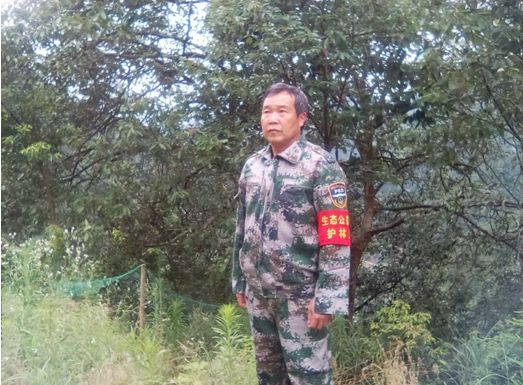 广西护林员要做什么,广西招募护林员